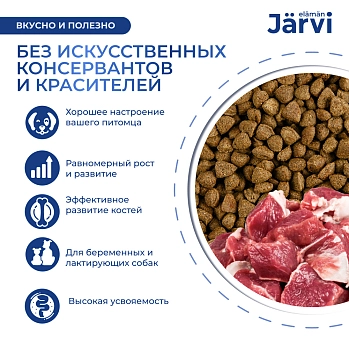 Jarvi сухой полнорационный корм для щенков средних и крупных пород