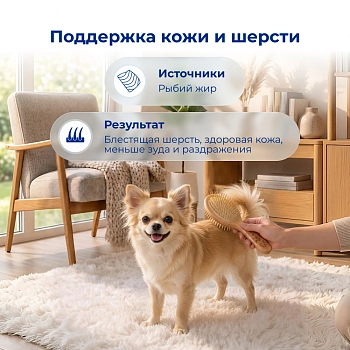 Jarvi сухой полнорационный корм для взрослых собак мелких пород