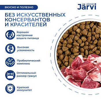 Jarvi сухой полнорационный корм для взрослых собак мелких пород с чувствительным пищеварением