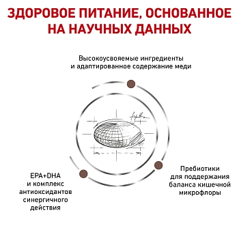 Royal Canin Hepatic корм для кошек при болезнях печени