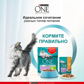 Purina One пауч для кошек с чувствительным пищеварением (кусочки в подливе)