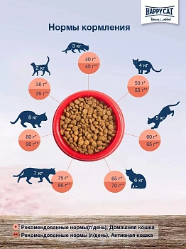 Happy Cat Culinary Атлантический лосось для взрослых кошек