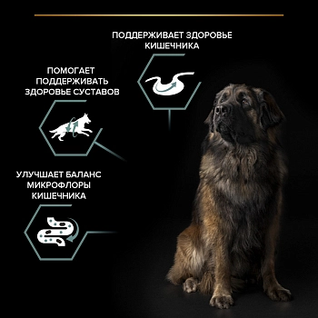 Pro Plan Large Adult Robust для взрослых мощных собак с чувствительным пищеварением
