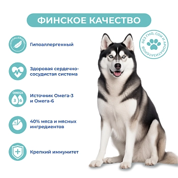 Jarvi сухой монопротеиновый полнорационный корм для взрослых собак средних и крупных пород