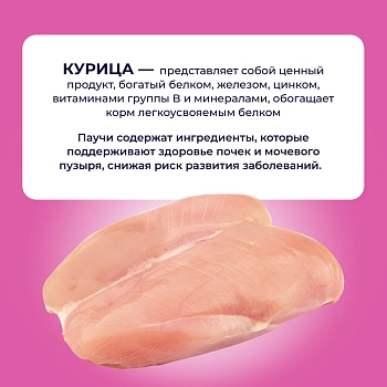 Jarvi Preventive diet line Urinary пауч для кошек для профилактики заболеваний МКБ (соус)