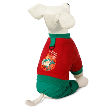 Комбинезон-дождевик «Друг с моторчиком»