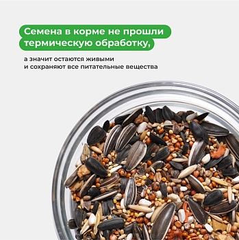 FRO корм для средних попугаев