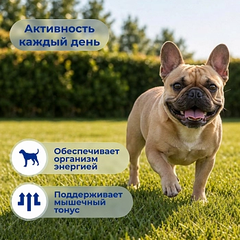 Jarvi сухой полнорационный корм для взрослых собак средних и крупных пород с чувств. пищеварением