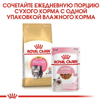 Royal Canin Persian Kitten для котят персидской породы