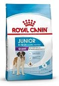 Royal Canin Giant Junior для щенков от 8 месяцев гигантских пород