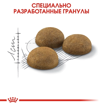 Royal Canin Indoor Long Hair для длинношерстных домашних кошек