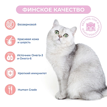 Jarvi Extra meat line пауч для кошек для красивой шерсти и здоровой кожи (кусочки в желе)