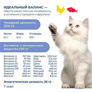 Jarvi крем-суп с мясом курицы и филе тунца для кошек и котят