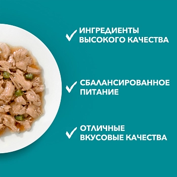 Purina One пауч для кошек с чувствительным пищеварением (кусочки в подливе)