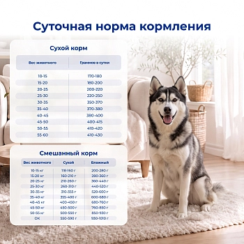 Jarvi сухой полнорационный корм для взрослых собак средних и крупных пород