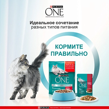 Purina One пауч для взрослых кошек (кусочки в подливе)