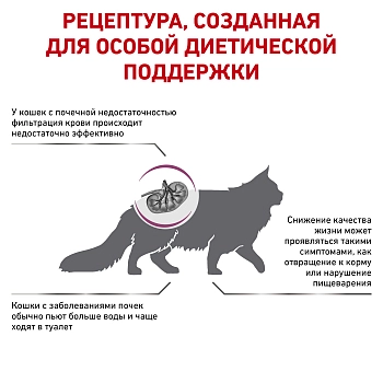 Royal Canin Renal Special корм для кошек при хронической почечной недостаточности