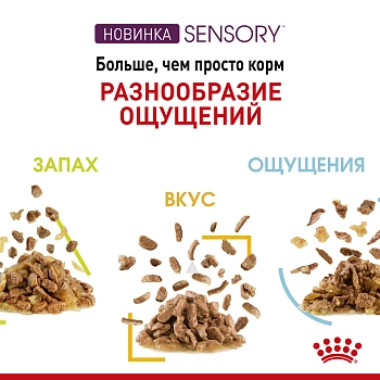 Royal Canin Sensory Smell пауч для взрослых кошек "Запах" (кусочки в соусе)