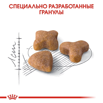 Royal Canin Sensible для кошек с чувствительным пищеварением