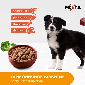 Pesta "Стир-фрай из говядины с брокколи" консервы для щенков и собак всех пород