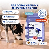 Jarvi сухой полнорационный корм для взрослых собак средних и крупных пород