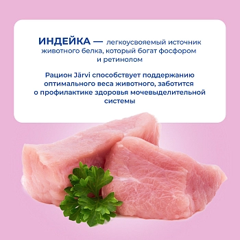 Jarvi Extra meat line пауч для стерилизованных кошек (кусочки в желе)