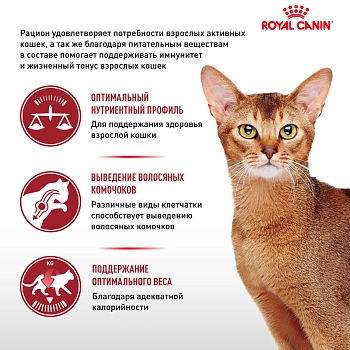 Royal Canin Fit для кошек бывающих на улице