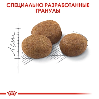 Royal Canin Sterilised 7+ для стерилизованных кошек и кастрированных котов старше 7 лет