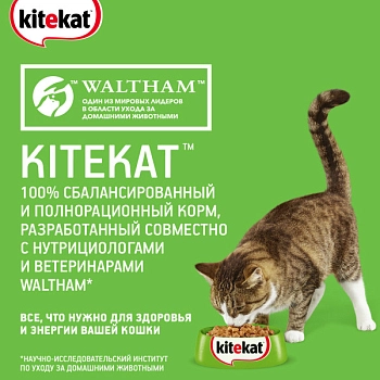 Kitekat пауч для кошек (кусочки в соусе)