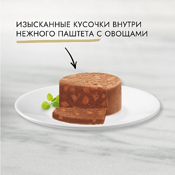 Gourmet Gold консервы для кошек (кусочки в паштете)