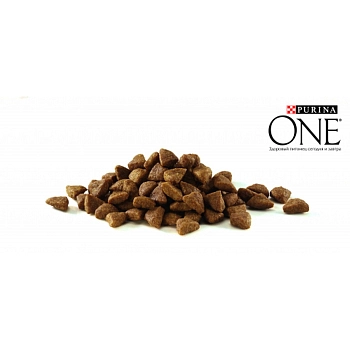 Purina One корм для взрослых кошек для красивой шерсти, здоровой кожи и контроля комков шерсти