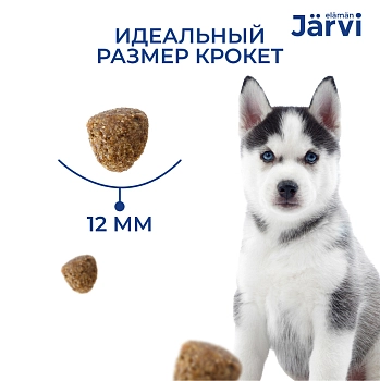 Jarvi сухой полнорационный корм для щенков средних и крупных пород