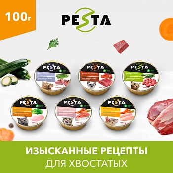 Pesta ламистер для кошек и котят паштет с уткой