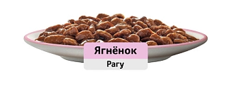 Whiskas пауч для пожилых кошек старше 7 лет (рагу)