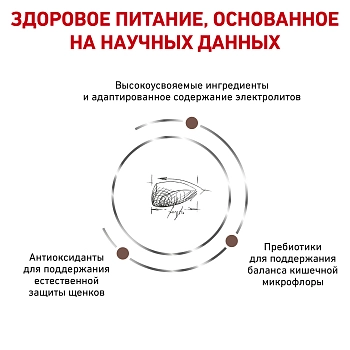 Royal Canin Gastrointestinal Puppy корм для щенков при нарушениях пищеварения