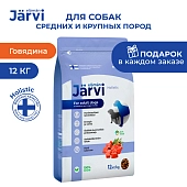 Jarvi сухой полнорационный корм для взрослых собак средних и крупных пород
