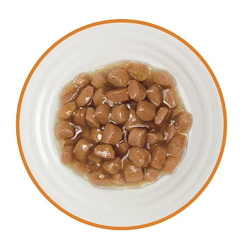 Деревенские лакомства пауч для кошек с чувствительным пищеварением (кусочки в соусе)