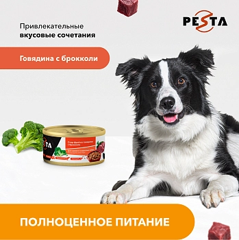 Pesta "Стир-фрай из говядины с брокколи" консервы для щенков и собак всех пород