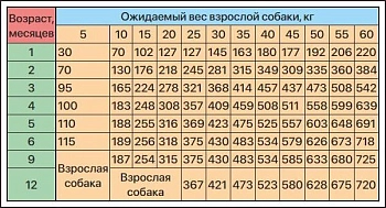 ZILLII Puppy Сухой корм для щенков всех пород