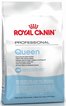 Royal Canin Queen корм для беременных и лактирующих кошек