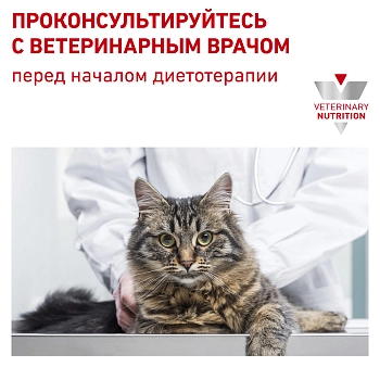 Royal Canin Gastrointestinal Moderate Calorie корм для кошек при патологии ЖКТ