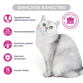 Jarvi Preventive diet line Urinary пауч для кошек для профилактики заболеваний МКБ (соус)