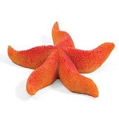 Laguna Коралл искусственный "Астерина мини"