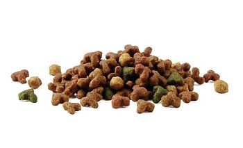 Friskies Junior корм для котят