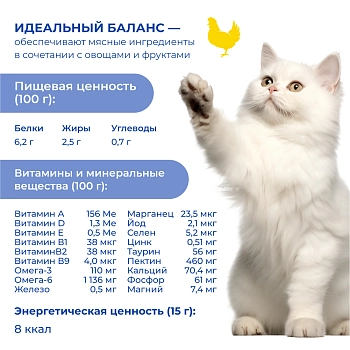 Jarvi крем-суп с филе курицы для кошек и котят