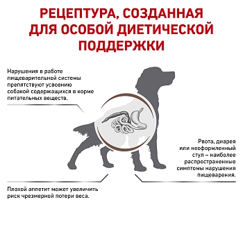Royal Canin Gastrointestinal корм для собак при нарушениях пищеварения