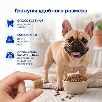 Jarvi сухой полнорационный корм для взрослых собак средних и крупных пород с чувств. пищеварением
