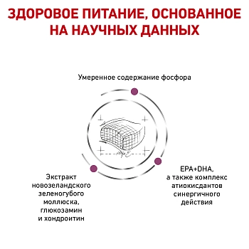 Royal Canin Early Renal для взрослых кошек при ранней стадии почечной недостаточности