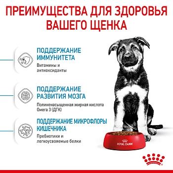 Royal Canin Maxi Puppy для щенков крупных пород