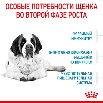 Royal Canin Giant Junior для щенков от 8 месяцев гигантских пород